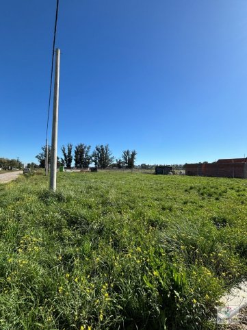 Lote en Venta de 999.70m² en Marzoratti y Chapaleofu