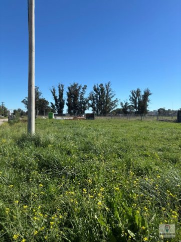 Lote en Venta de 999.70m² en Marzoratti y Chapaleofu