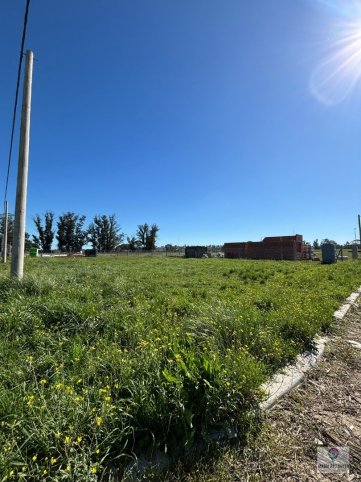 Lote en Venta de 999.70m² en Marzoratti y Chapaleofu