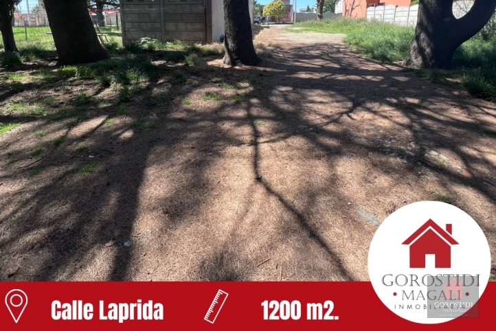 Calle Laprida