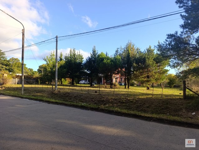 Los Ombúes 576 (zona Campus Universitario)