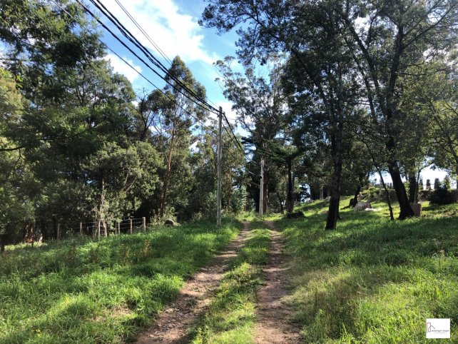Lote en Venta en Parque Independencia, 374m²