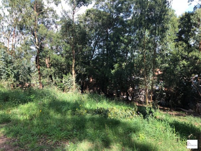 Lote en Venta en Parque Independencia, 374m²