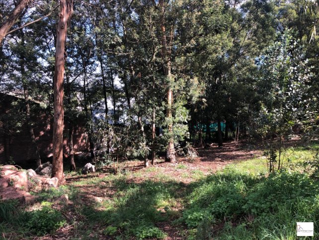 Lote en Venta en Parque Independencia, 374m²
