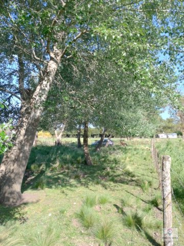 Lote en Venta 600m² en María Ignacia Vela