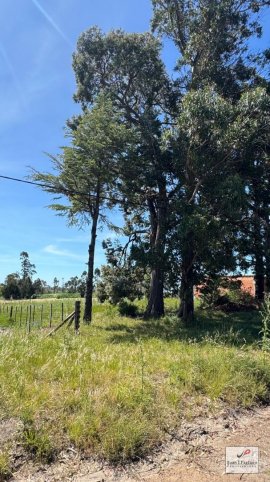 Lote en Venta de 974m² en Giuseppe Cima y Dante Alighieri