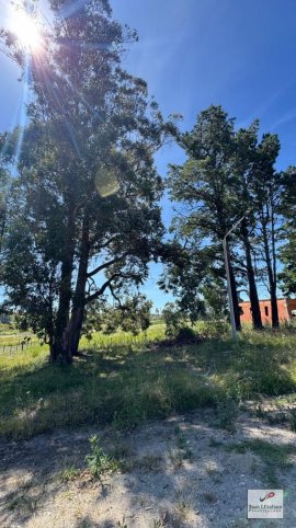 Lote en Venta de 974m² en Giuseppe Cima y Dante Alighieri
