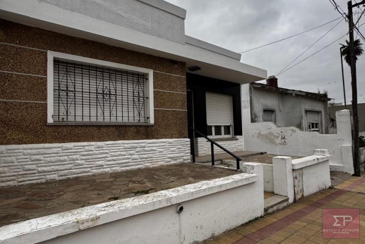 Artigas al 100