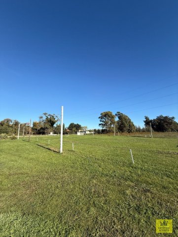 Lote en Venta sobre Avenida Circunvalación