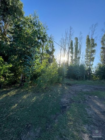 Lote en Venta Colibrí y Juan B. Justo de 686 m²
