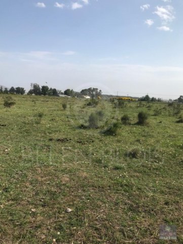 Lote en Venta 1322m² en Las Margaritas