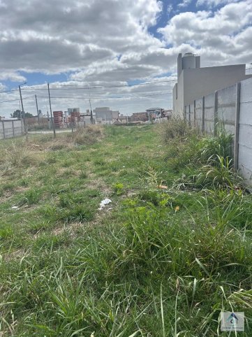Figueroa al 2000