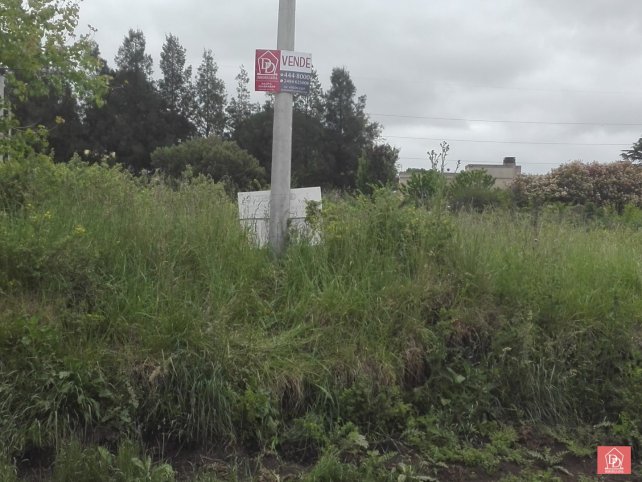 Lote en Venta 571,50m² en Lisandro de la Torre y Chaperouge