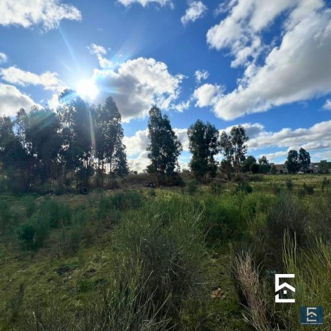 Lote en Venta 482m² en Newton 1700