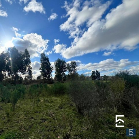 Lote en Venta 482m² en Newton 1700