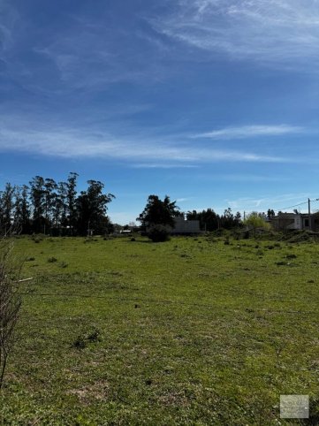Lote en venta de 400m² con todos los servicios — Lester y Argerich