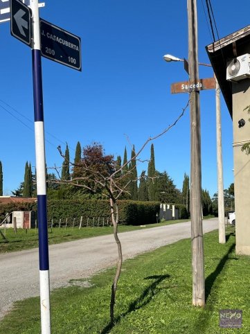 Casacuberta 158