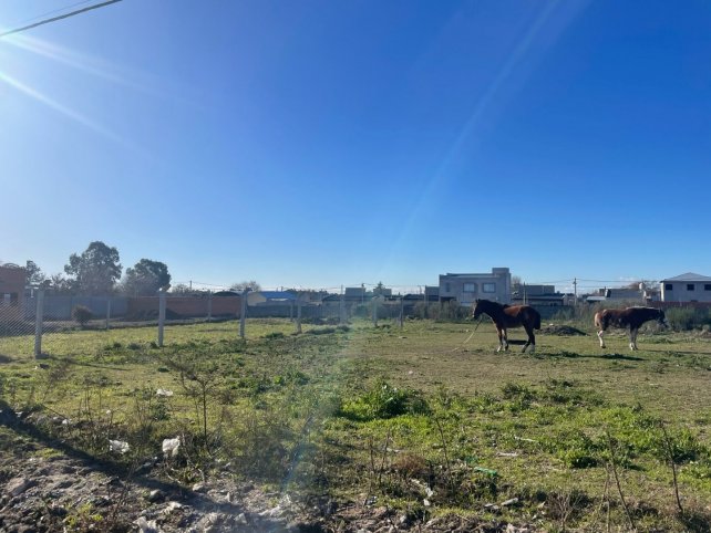 Lote en Venta en Laprida entre Entre Rios y Corrientes