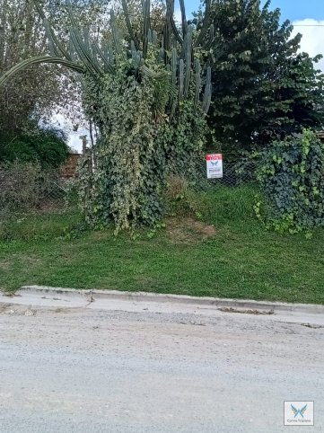 Lote en Venta de 428m² sobre Santa Cruz