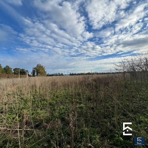 Lote en Venta 270m² en Palacios 3100