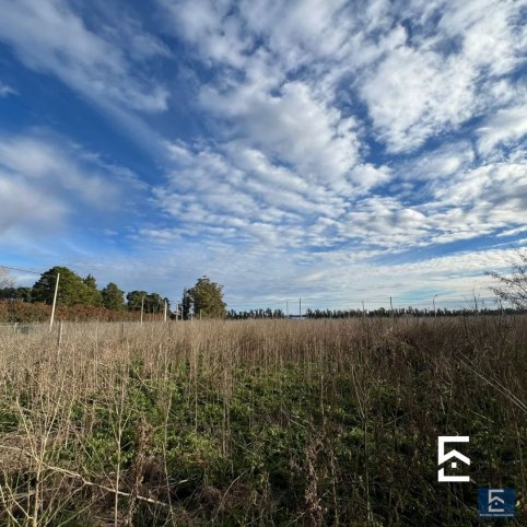 Lote en Venta 270m² en Palacios 3100