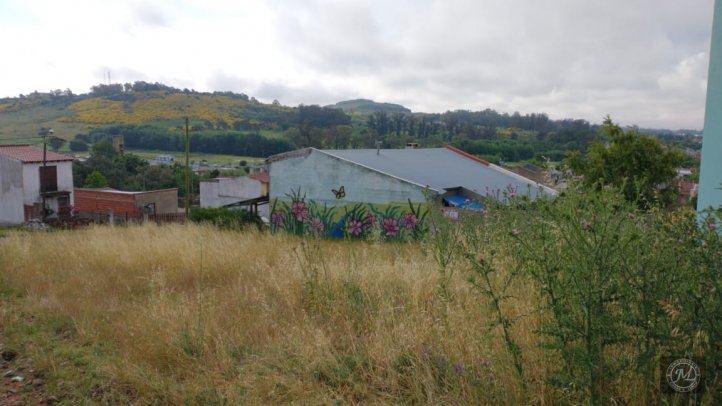Lote 10x25 en Bolivia y Picheuta — Oportunidad