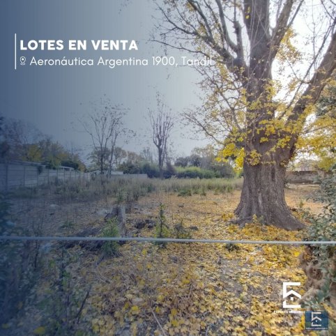 Aeronáutica Argentina 1900