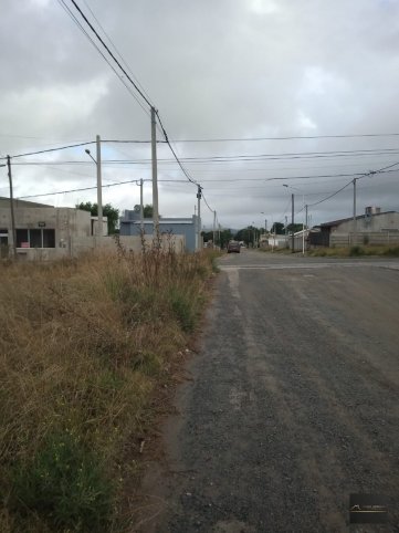 CABRAL Y ALVARADO