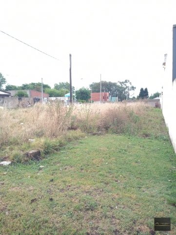 CABRAL Y ALVARADO
