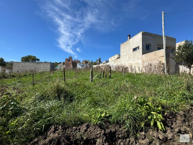Lote irregular de 318m² en Picheuta 420