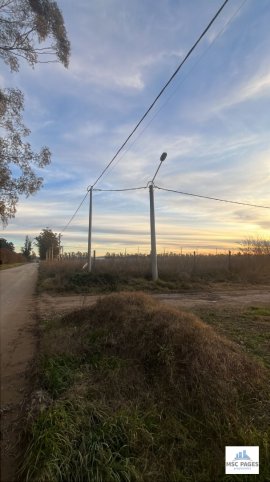 Lote 290m² en Palacios y La Blanca, Zona Graduados