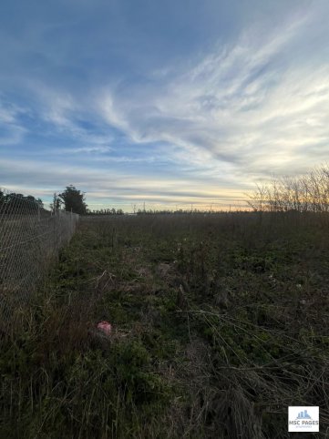 Lote 290m² en Palacios y La Blanca, Zona Graduados
