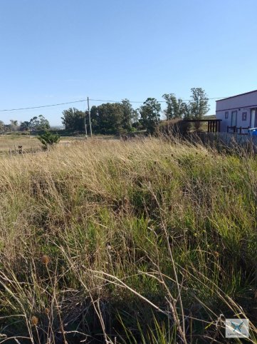 Lote en Venta en Los Platanos y Luis Maria Campos
