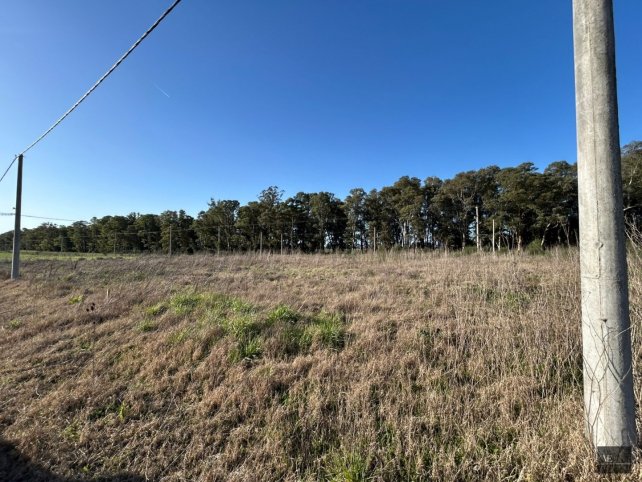 Lote en Venta 289m² en Oportunidad — Las Malvinas y la blanca