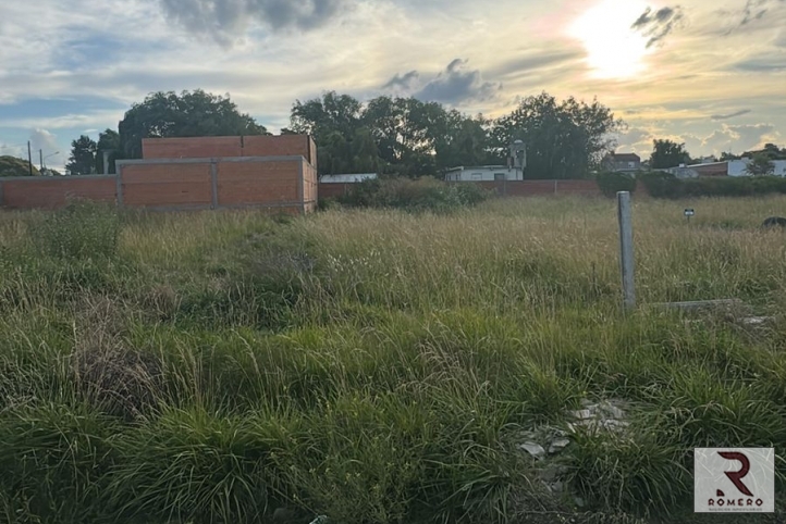 Lote en Venta 16.48x24.95, servicios de agua y luz