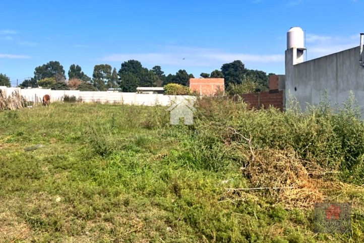 Lote en Venta 500m² con servicios — Margarita Galfre