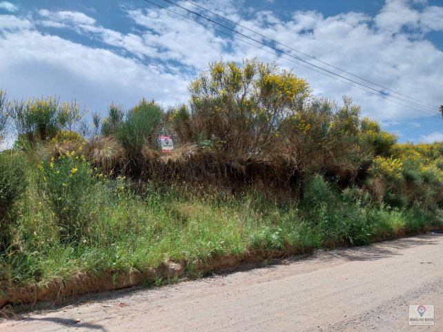 Lote en Venta 10x40 mts, Santa Cruz 2300