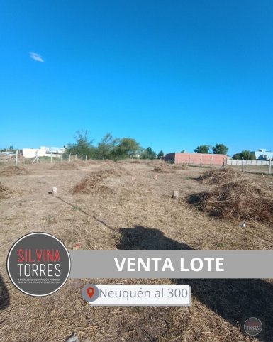 Lote en Venta Neuquén 330