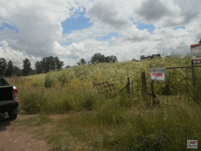 Lote en Venta 34m² en La Elena