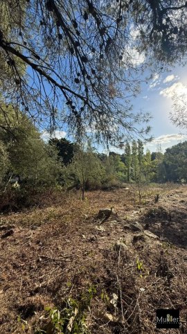 Lote en Venta 1000m² en Martin Lutherking y Daglio