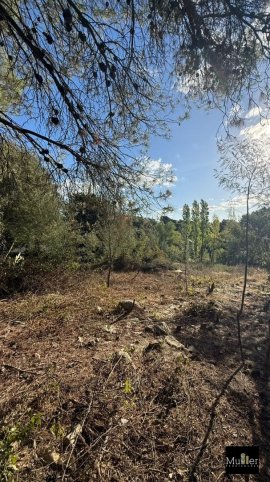 Lote en Venta 1000m² en Martin Lutherking y Daglio