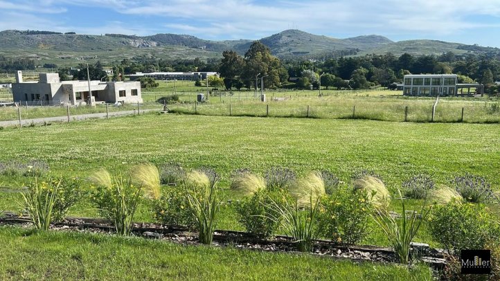 Lote en venta sobre calle Los Pinos entre las Hortensias y Ezquerdo