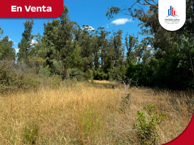 Lote en Venta Reforma Universitaria 1700 - 2077 m²