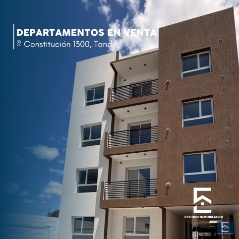 Constitucion 1300