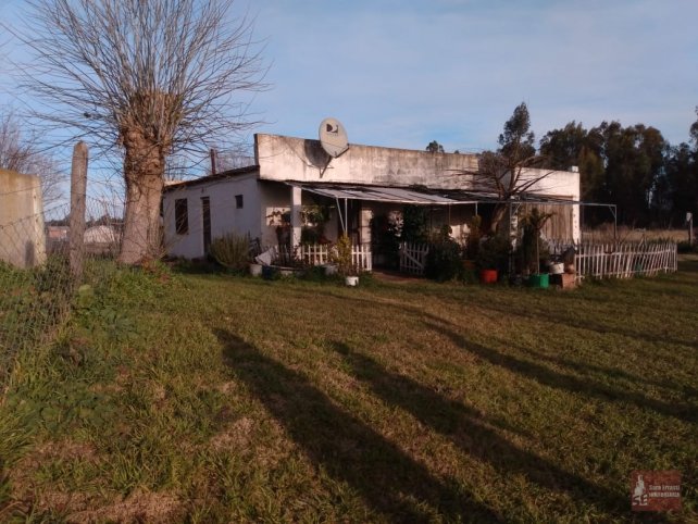 Quinta 4 dorm, 3900m² con pileta — La Merced