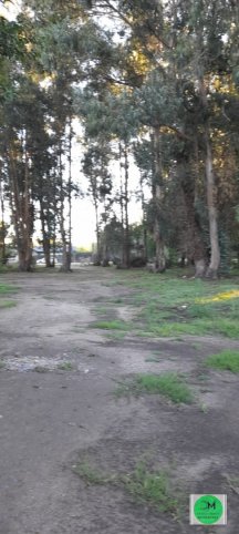 Aeronáutica Argentina y Santamarina