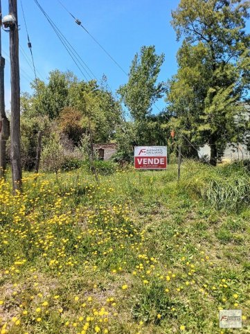 Casa 1 dorm, 45m² en lote de 20x65