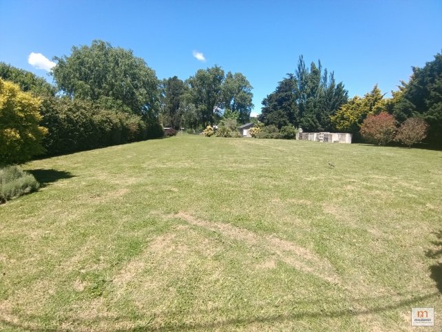 Lote en Venta Peré 1563