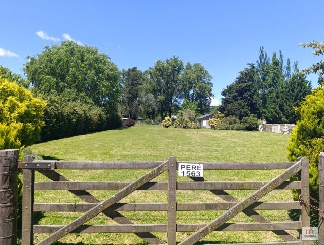 Lote en Venta Peré 1563