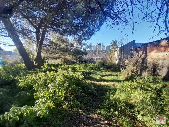 Casa a reciclar 2 dorm, 1 baño, garage — Muñiz al 2500